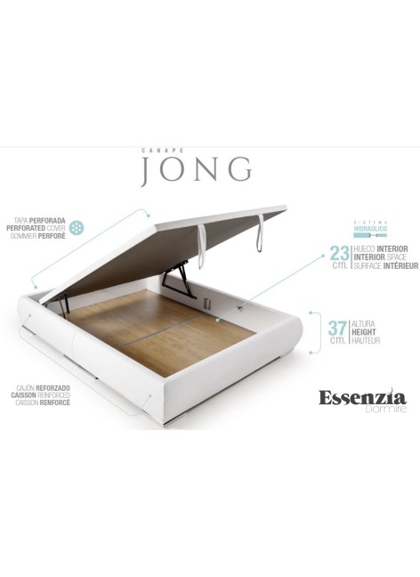 CANAPÉ ESSENZIA JONG 