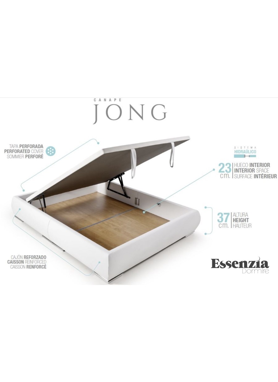 CANAPÉ ESSENZIA JONG 