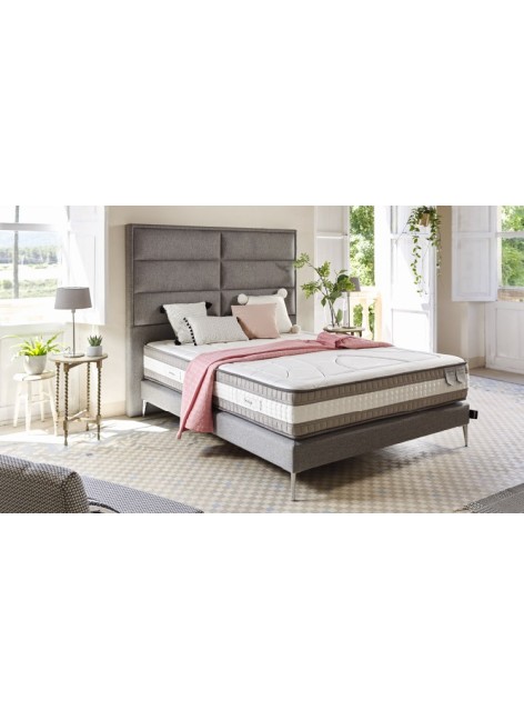 CABEZAL ESSENZIA NÁPOLES 