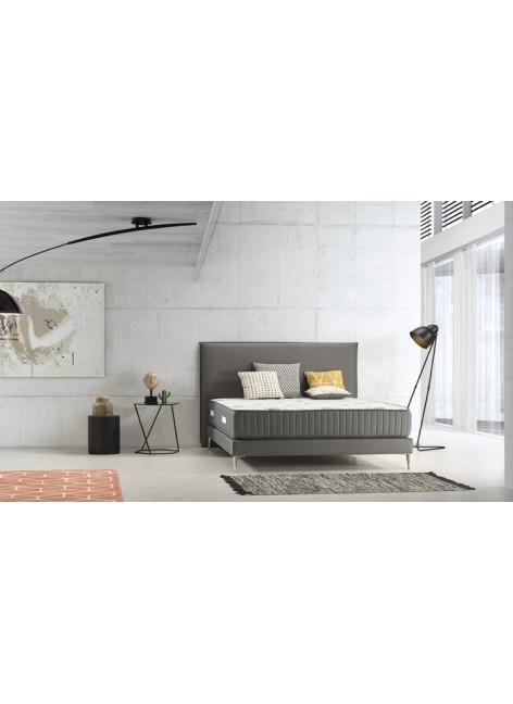 CABEZAL ESSENZIA LONDON  2