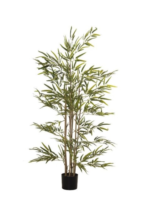 Planta Adara Bambú 150cm