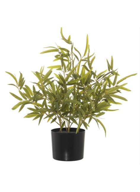 Planta Filomena Bambú 60cm