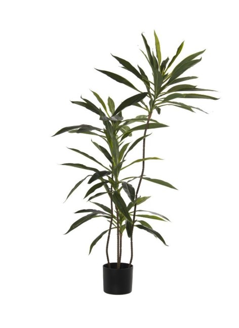 Planta Artimendi Yuca 120cm