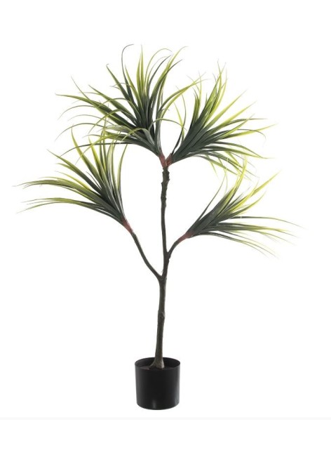 Planta Kutanda Drácena 120cm