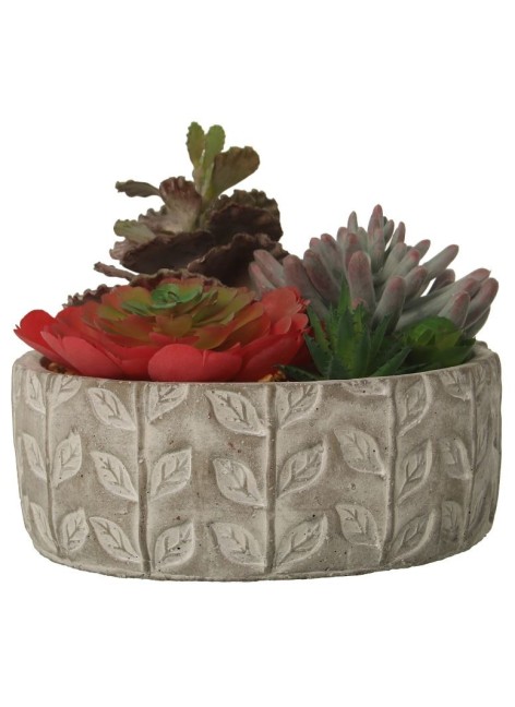 Planta Suculenta 20x22x18 cm 2