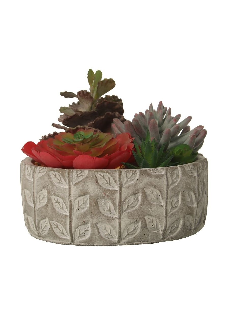 Planta Suculenta 20x22x18 cm