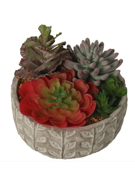 Planta Suculenta 20x22x18 cm