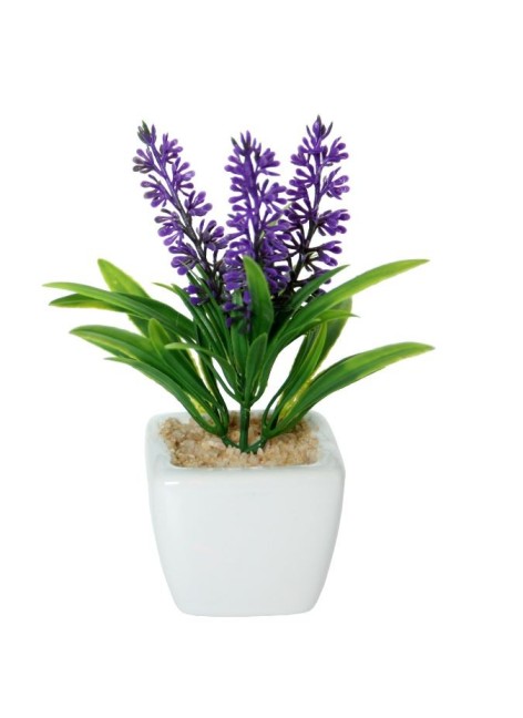 Maceta Fleri Lavanda 10cm