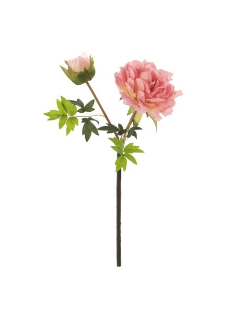 Peonia Nocelo Rosa 50cm