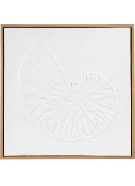 Cuadro Caracola 40x40  2