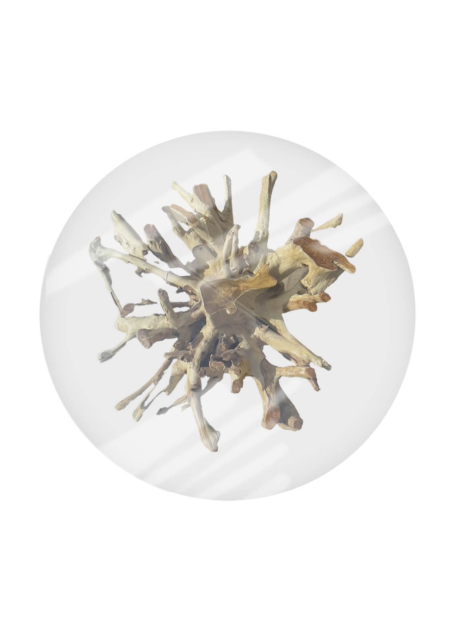 Mesa Raíz Teka Blanqueada 2 piezas...