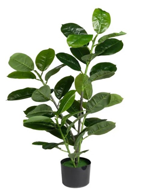 Planta Elio Caucho...