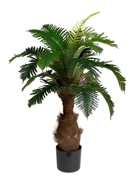 Planta Axel Palmera...