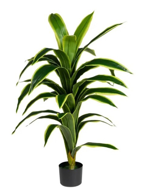 Planta Dracaena 70x70x120 cm