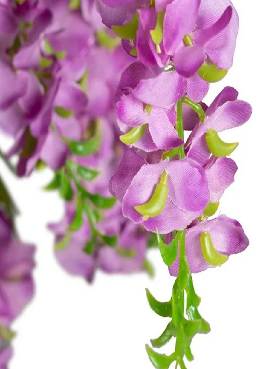 Planta Glicinia Rosa 75x75x170 cm