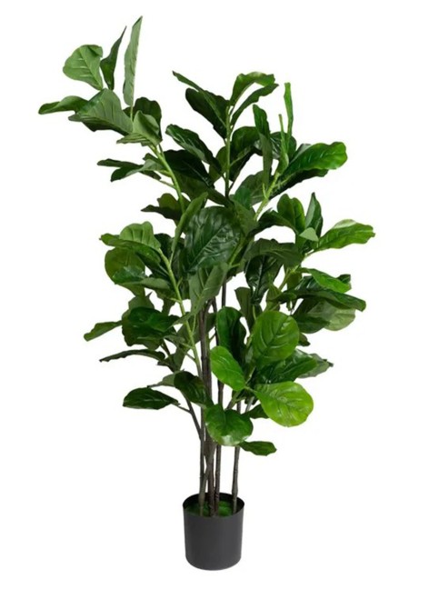 Planta Higuera 60x60x140 cm