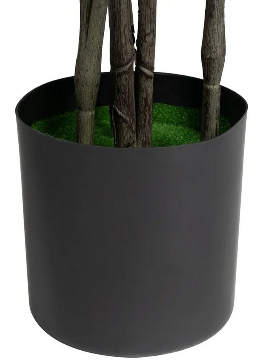 Planta Higuera 60x60x140 cm