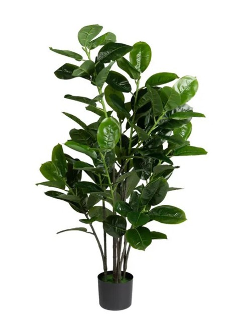 Planta Caucho 60x60x140 cm