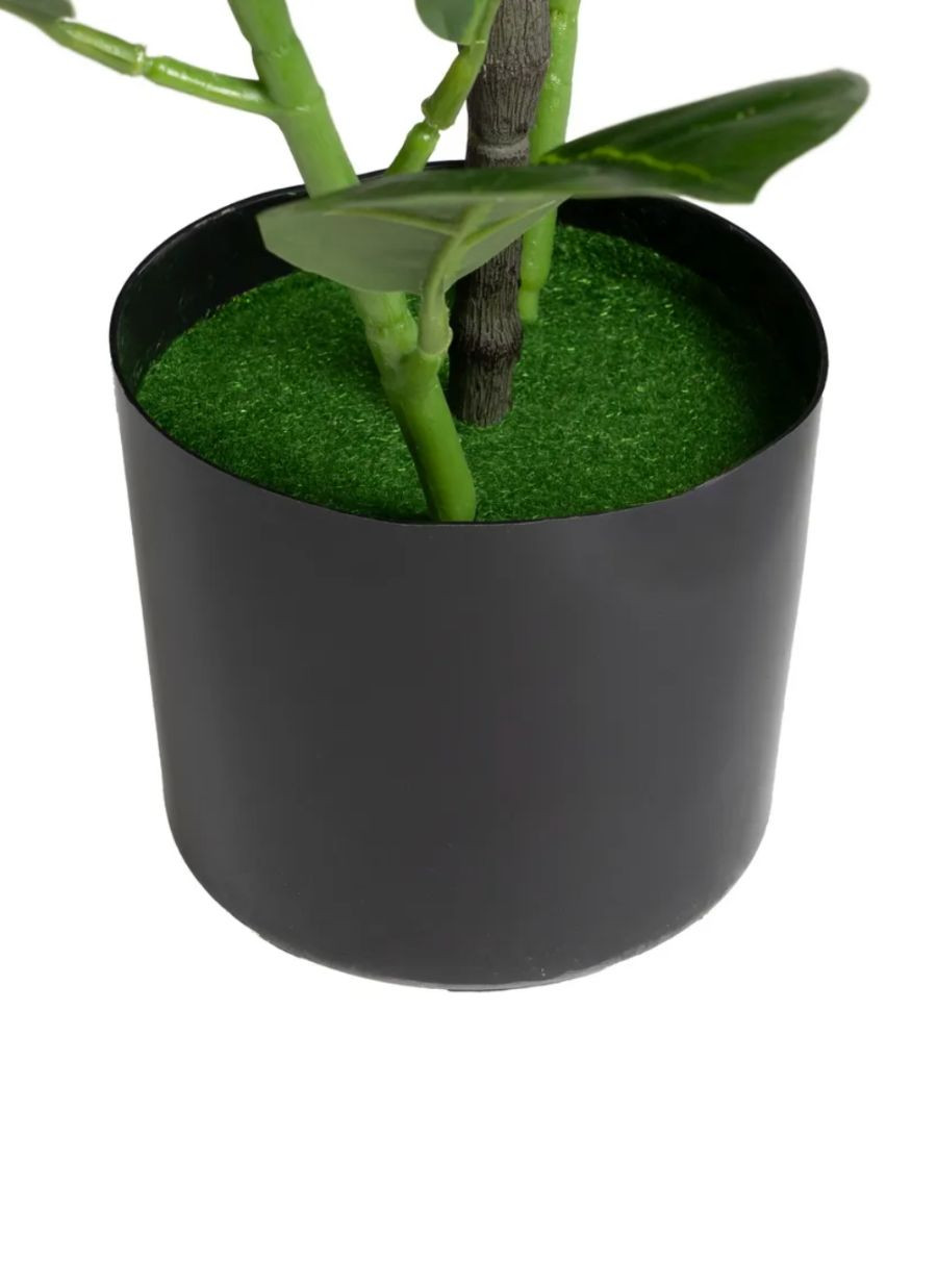 Planta Elio Caucho 40x40x100 cm