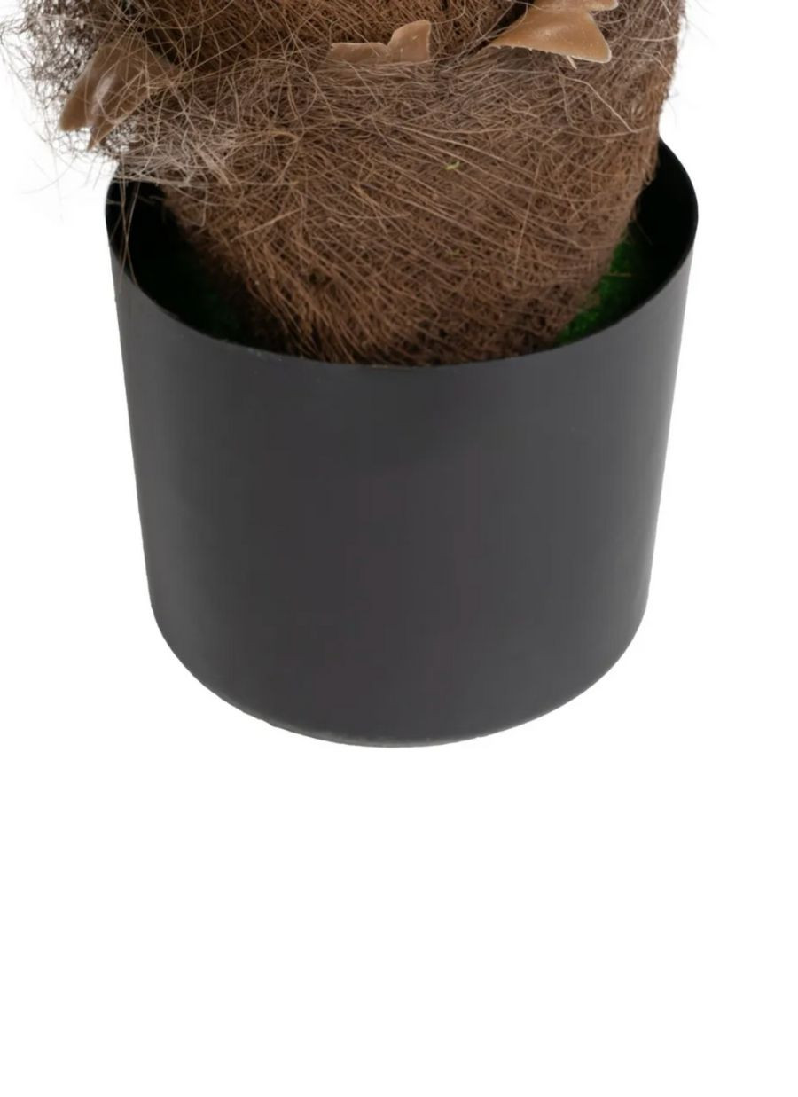 Planta Axel Palmera 75x75x100 cm