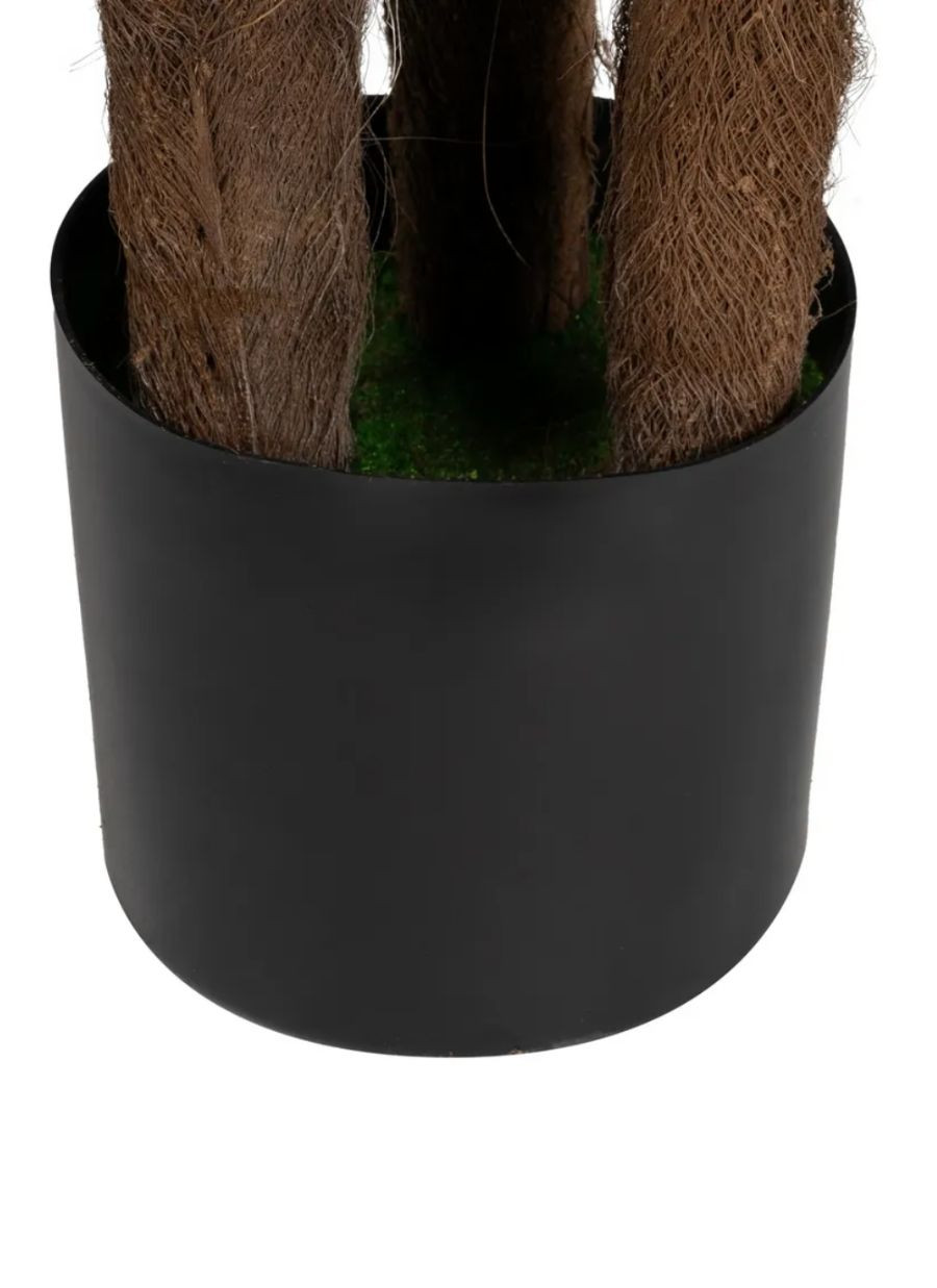 Planta Palmera Vini Verde Jardín...