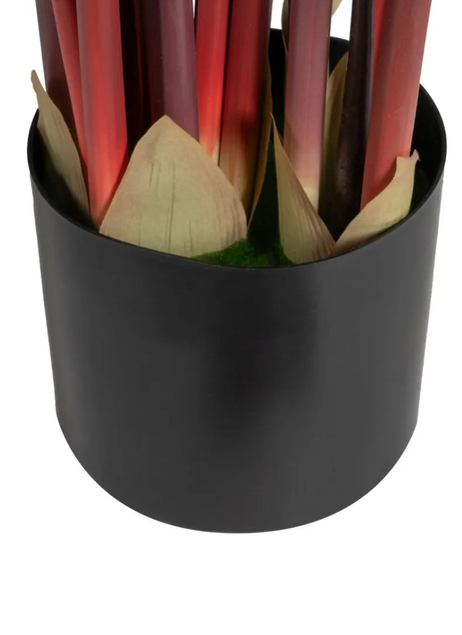 Planta Colocasia Maxi 85x85x180 cm